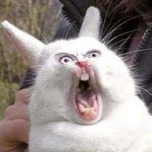 Meet your Posher, Tim